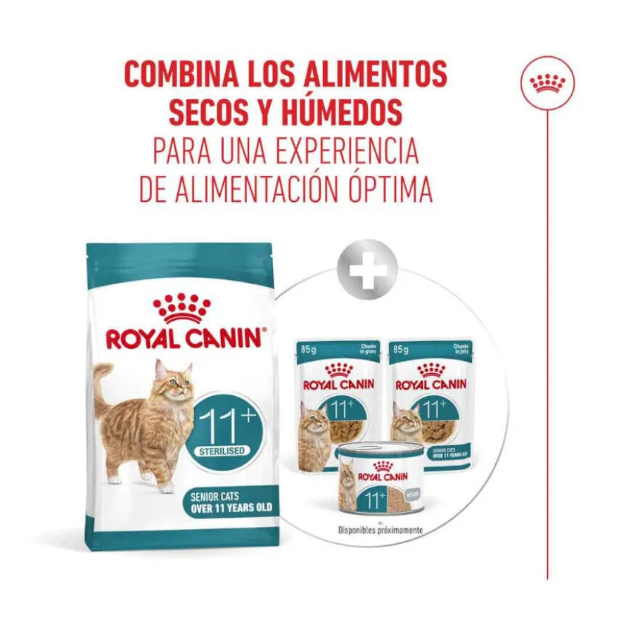 Royal Canin Ageing 11+ Sterilised pienso para gatos senior