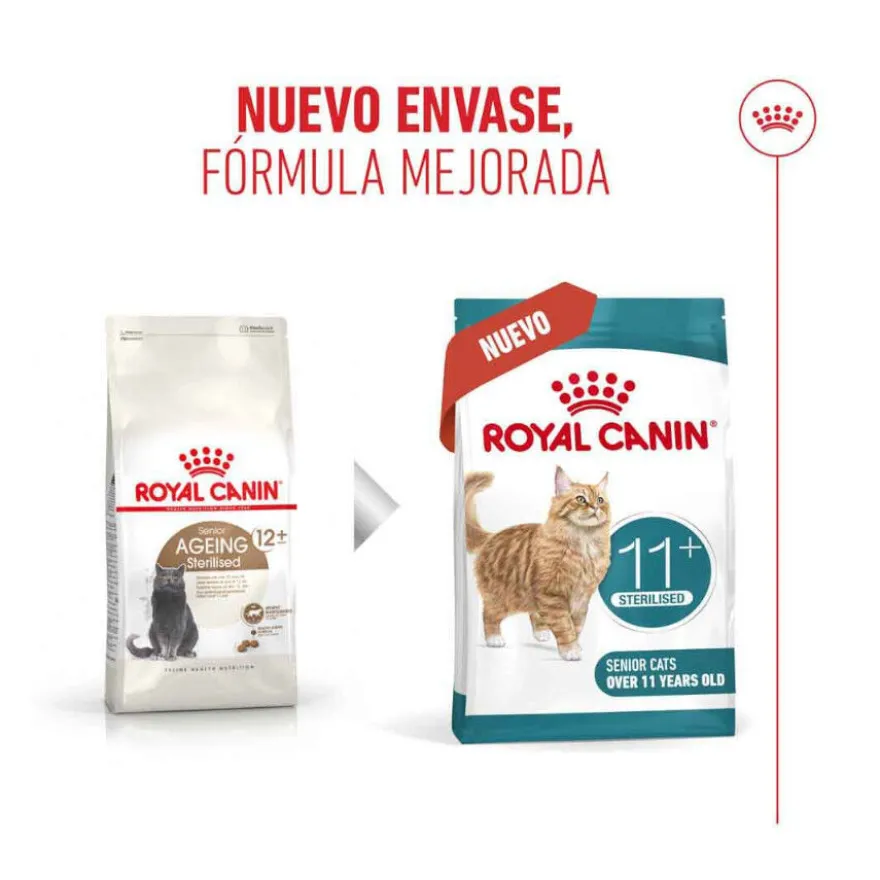 Royal Canin Ageing 11+ Sterilised pienso para gatos senior