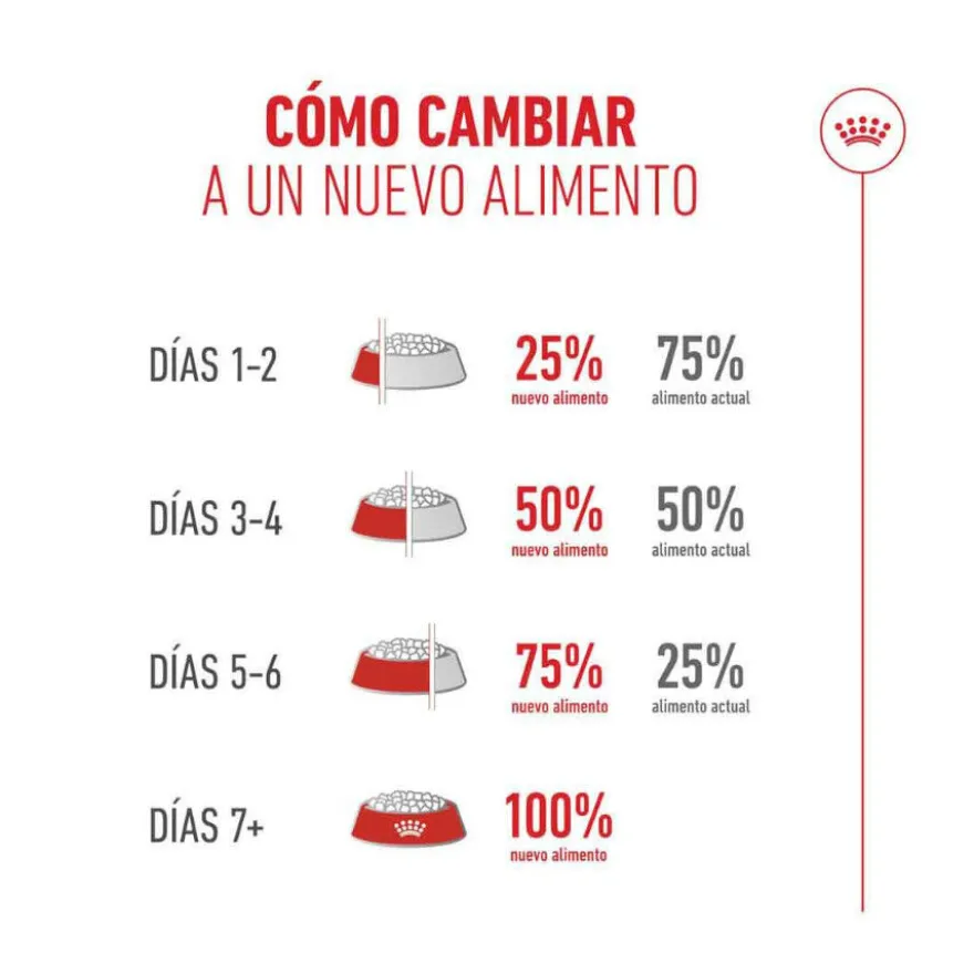 Royal Canin Ageing 11+ Sterilised pienso para gatos senior
