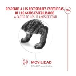 Royal Canin Ageing 11+ Sterilised pienso para gatos senior
