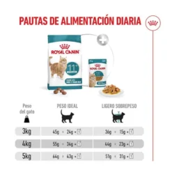 Royal Canin Ageing 11+ Sterilised pienso para gatos senior