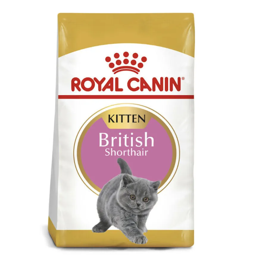 Royal Canin British Shorthair Kitten pienso para gatos