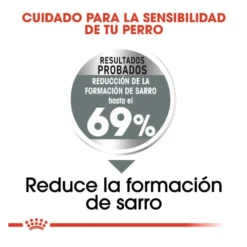 Royal Canin Dental Care Mini pienso para perros