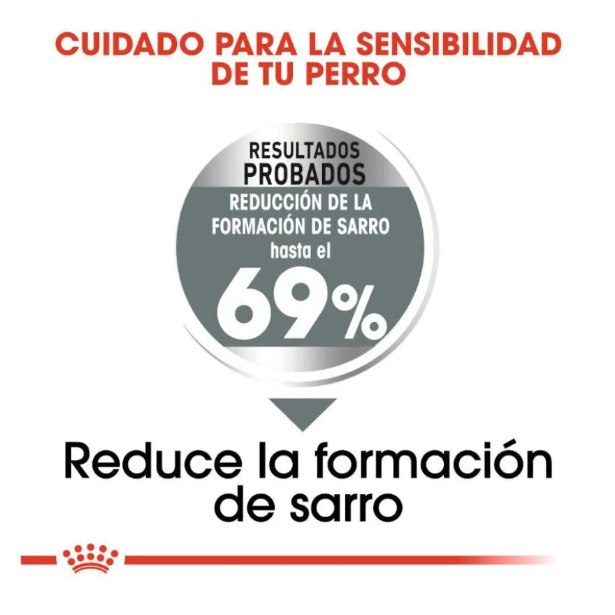 Royal Canin Dental Care Mini pienso para perros