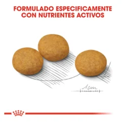 Royal Canin Dermacomfort Medium pienso para perros