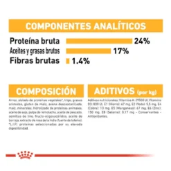Royal Canin Dermacomfort Medium pienso para perros