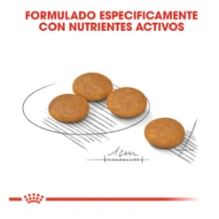 Royal Canin Dermacomfort Mini pienso para perros