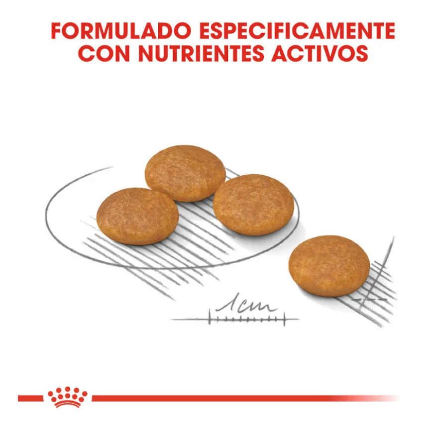 Royal Canin Dermacomfort Mini pienso para perros