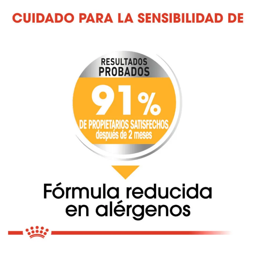 Royal Canin Dermacomfort Mini pienso para perros