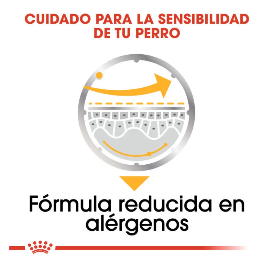 Royal Canin Dermacomfort Sobres Paté para perros