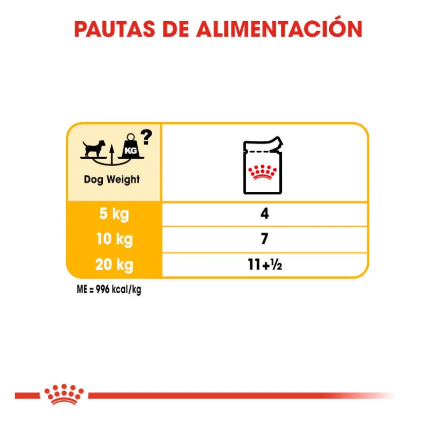 Royal Canin Dermacomfort Sobres Paté para perros