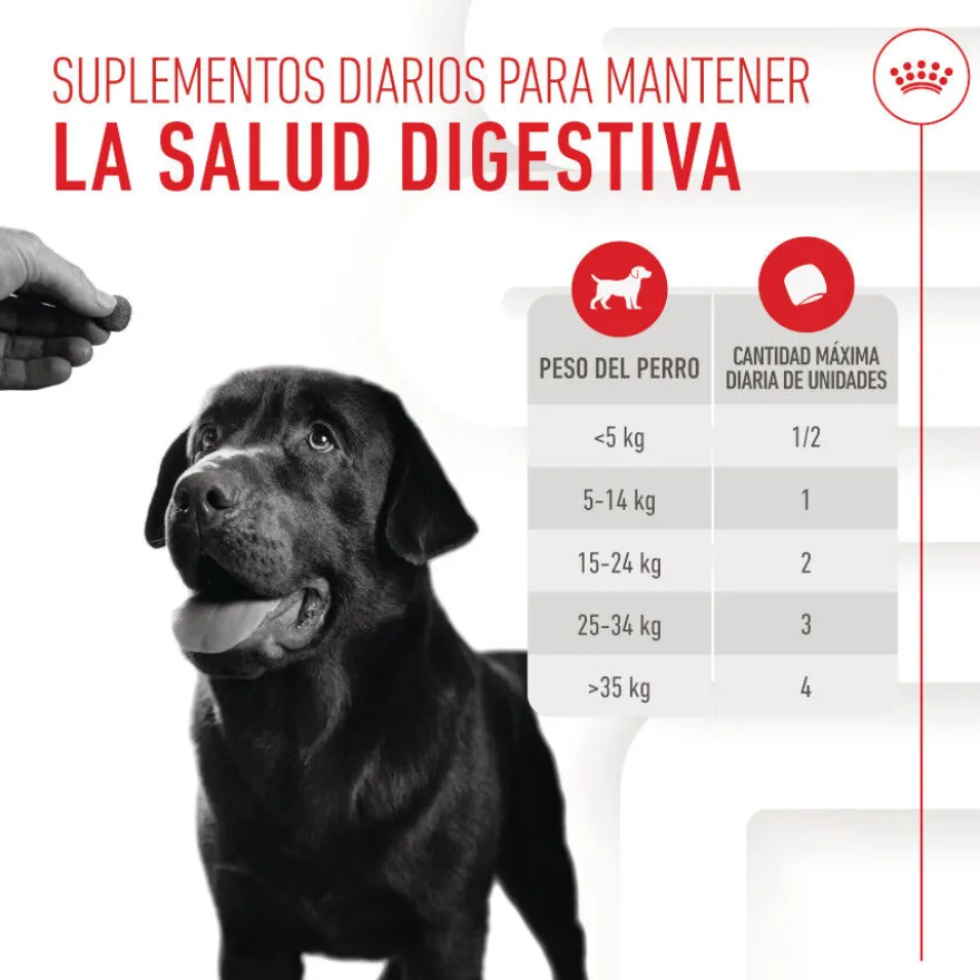 Royal Canin Digestion Chews Suplemento Nutricional para perros con sensibilidad