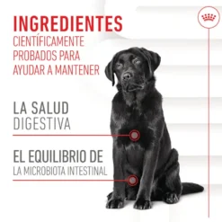 Royal Canin Digestion Chews Suplemento Nutricional para perros con sensibilidad