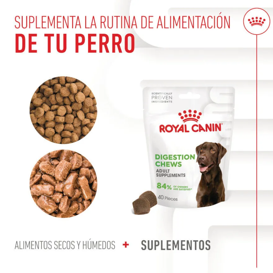 Royal Canin Digestion Chews Suplemento Nutricional para perros con sensibilidad