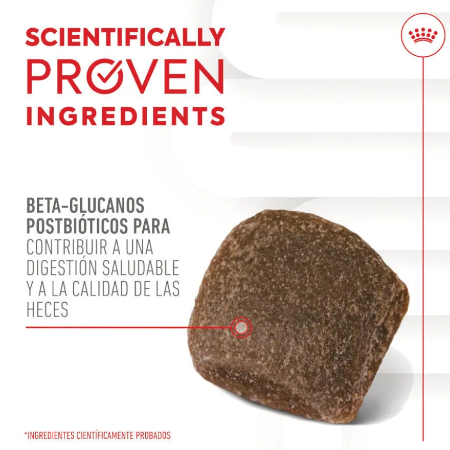 Royal Canin Digestion Chews Suplemento Nutricional para perros con sensibilidad