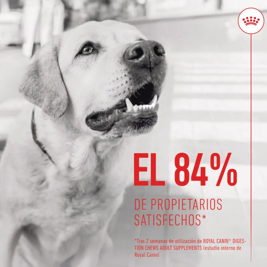 Royal Canin Digestion Chews Suplemento Nutricional para perros con sensibilidad