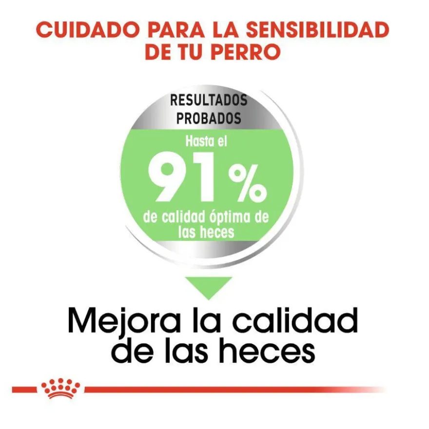 Royal Canin Digestive Care Medium pienso para perros