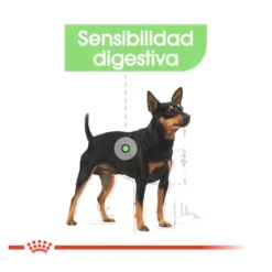 Royal Canin Digestive Care Mini pienso para perros
