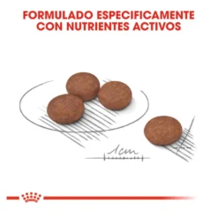 Royal Canin Digestive Care Mini pienso para perros