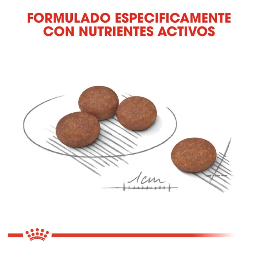 Royal Canin Digestive Care Mini pienso para perros