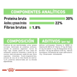 Royal Canin Digestive Care Mini pienso para perros