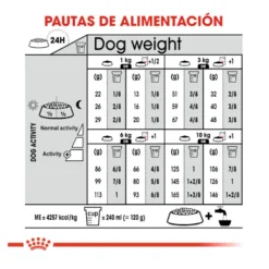 Royal Canin Digestive Care Mini pienso para perros