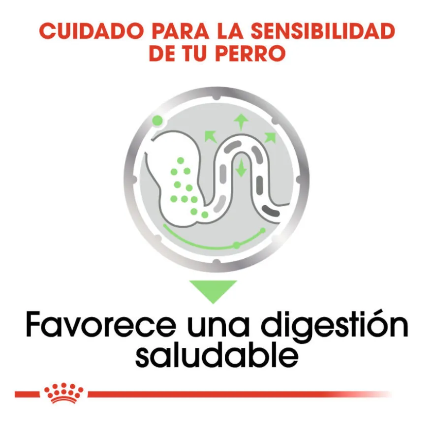 Royal Canin Digestive Care Paté sobres para perros