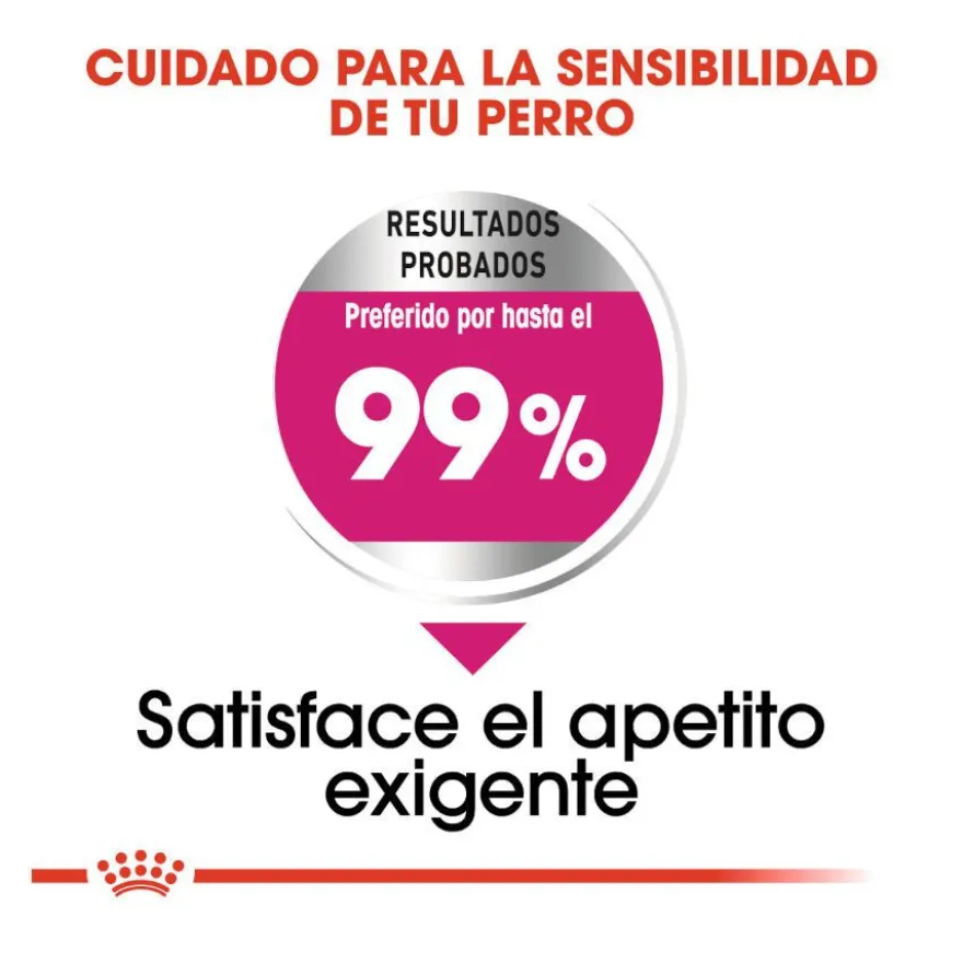 Royal Canin Exigent Mini pienso para perros