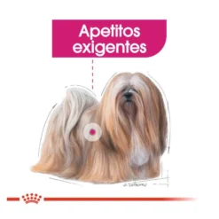 Royal Canin Exigent Mini pienso para perros