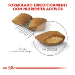 Royal Canin Exigent Mini pienso para perros