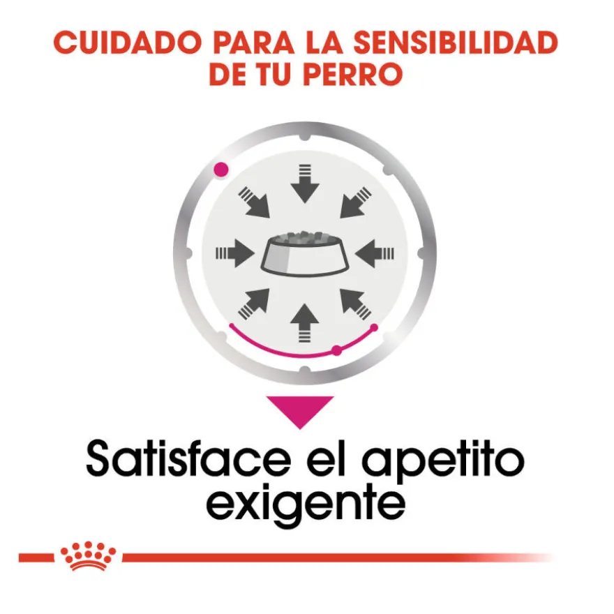 Royal Canin Exigent paté sobre para perros