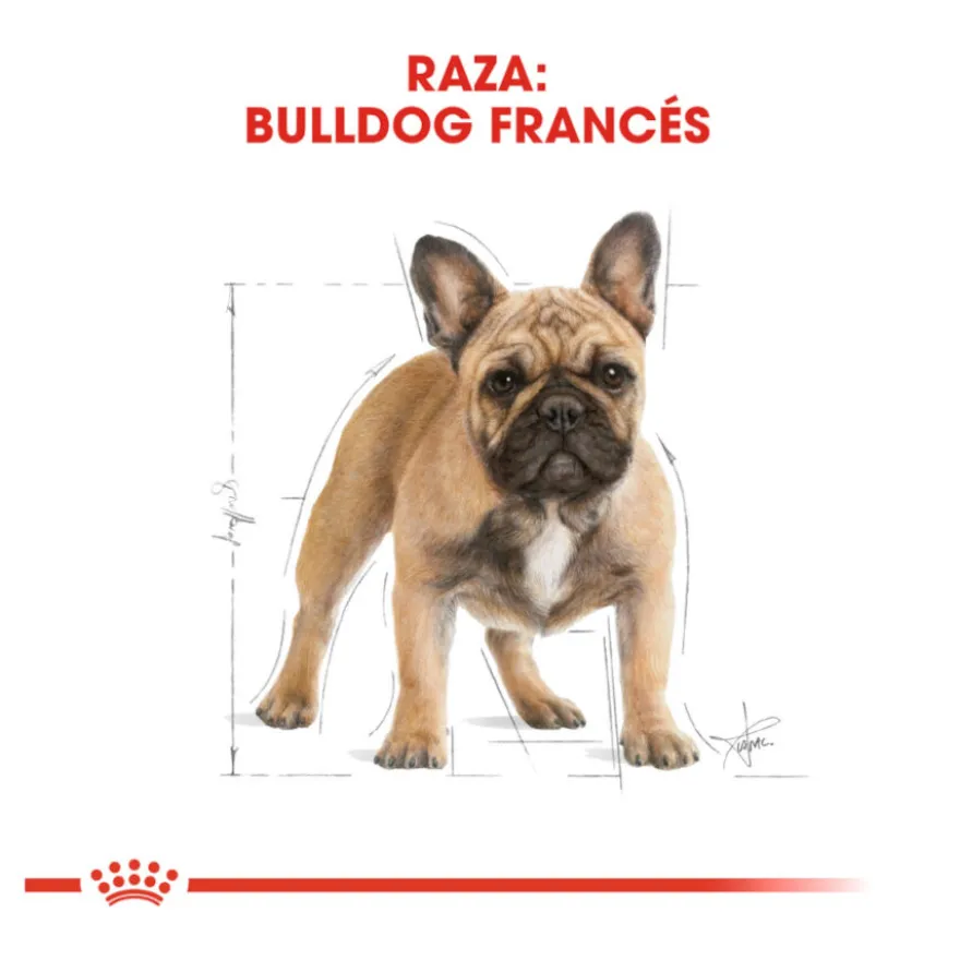 Royal Canin French Bulldog Adult pienso para perros