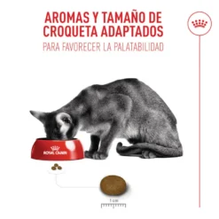 Royal Canin Fussy Exigent Pienso para gatos