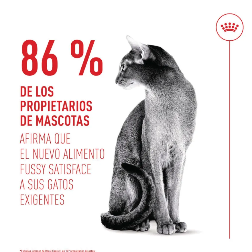 Royal Canin Fussy Exigent Pienso para gatos