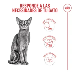 Royal Canin Fussy Exigent Pienso para gatos
