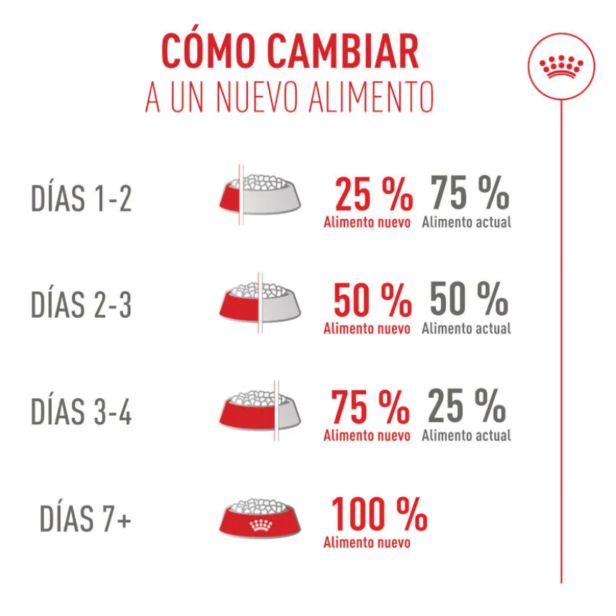 Royal Canin Fussy Exigent Pienso para gatos