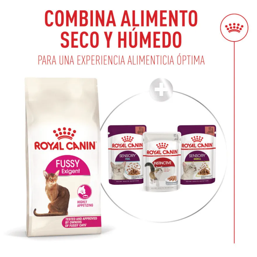 Royal Canin Fussy Exigent Pienso para gatos