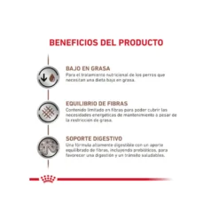 Royal Canin GastroIntestinal Low Fat pienso para perros pequeños