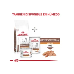 Royal Canin GastroIntestinal Low Fat pienso para perros pequeños