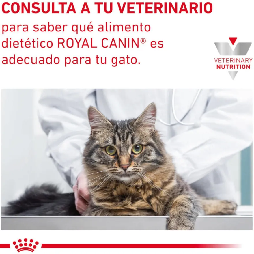 Royal Canin Gastrointestinal Fibre Response Láminas en Salsa Sobre para gatos
