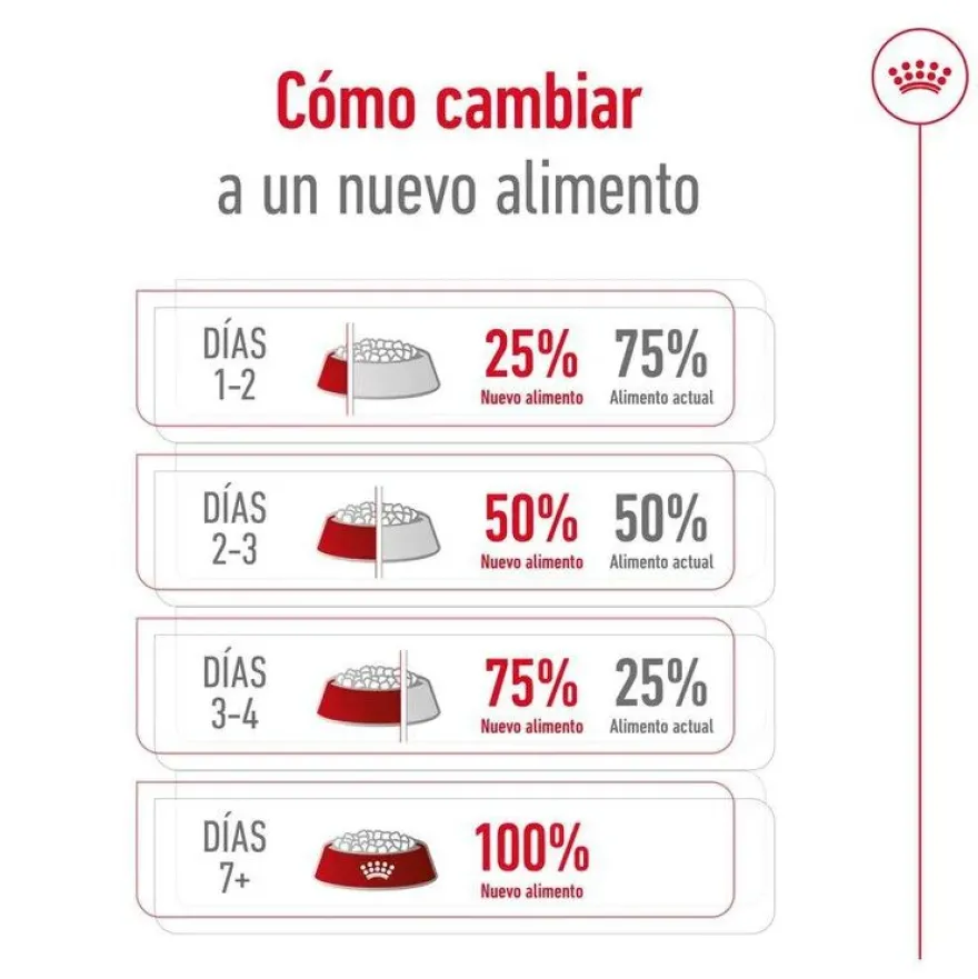 Royal Canin Giant Adult pienso para perros