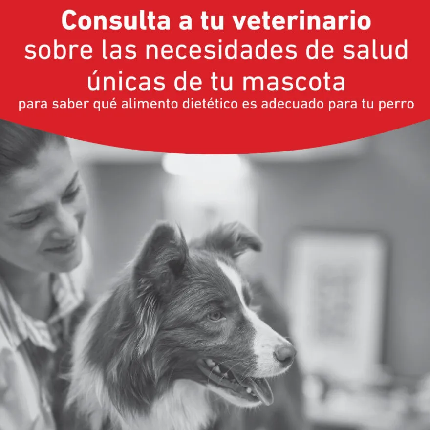 Royal Canin Glycobalance Pienso para perros pequeños