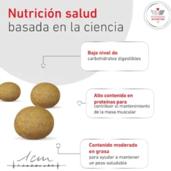 Royal Canin Glycobalance Pienso para perros pequeños
