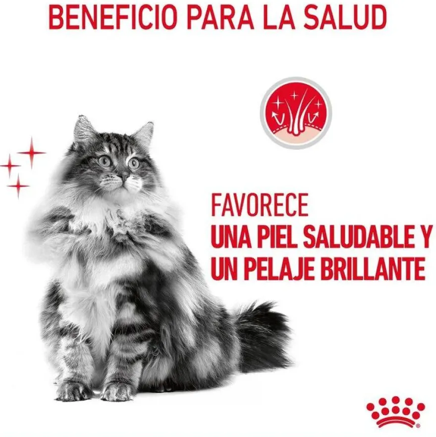 Royal Canin Hair and Skin sobre en salsa para gatos