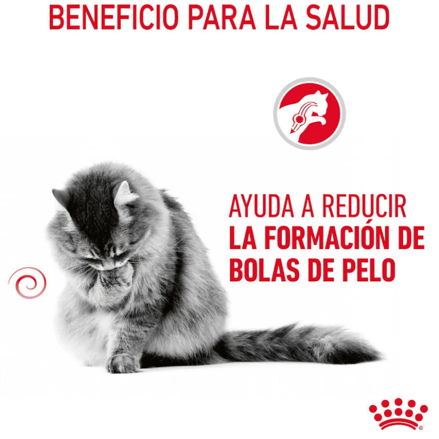 Royal Canin Hairball Care Sobre en Gelatina para gatos