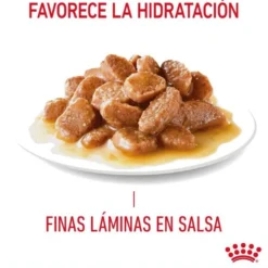 Royal Canin Hairball sobre en salsa para gatos