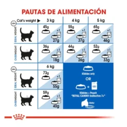 Royal Canin Home Life Indoor 7+ pienso para gatos