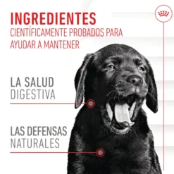 Royal Canin Immunity & Digestion Chews Puppy Suplemento nutricional para perros
