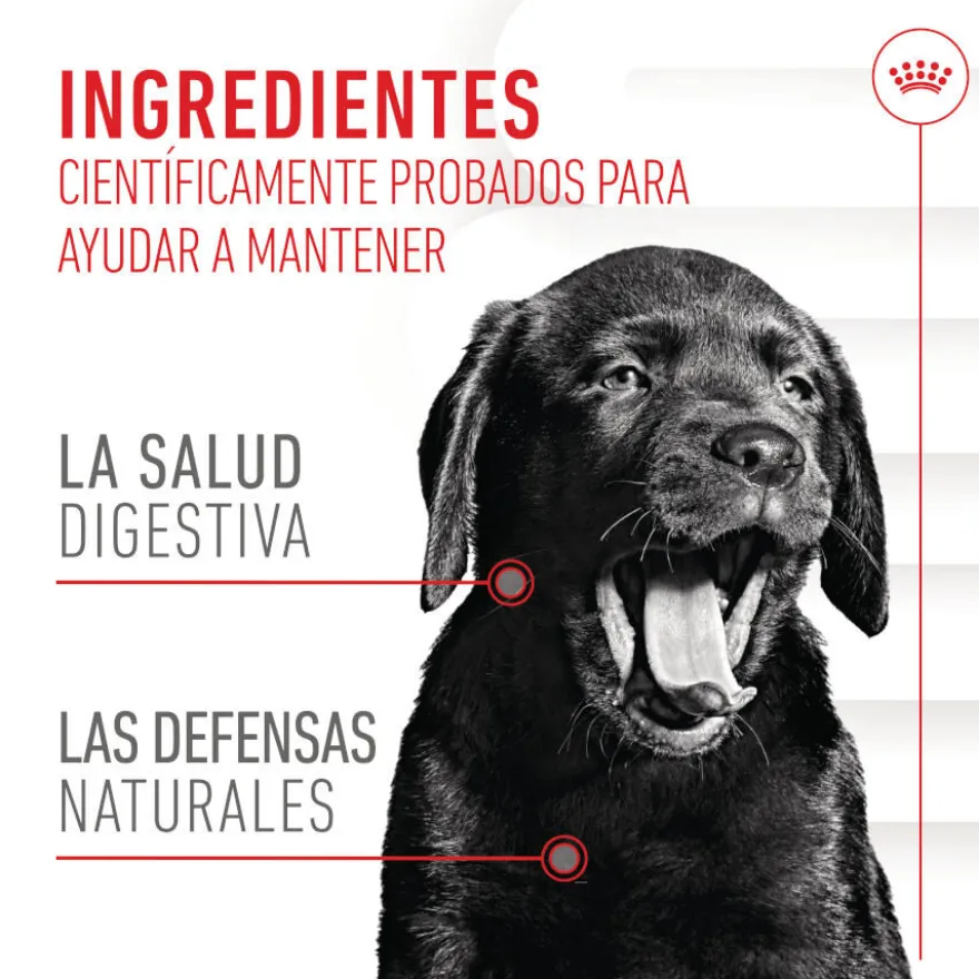 Royal Canin Immunity & Digestion Chews Puppy Suplemento nutricional para perros