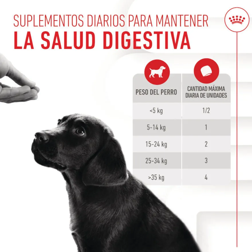 Royal Canin Immunity & Digestion Chews Puppy Suplemento nutricional para perros